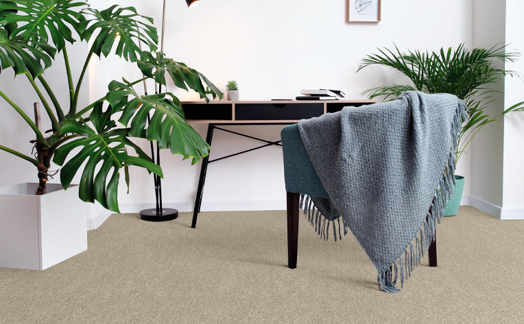 beige carpet in home office with large plants.